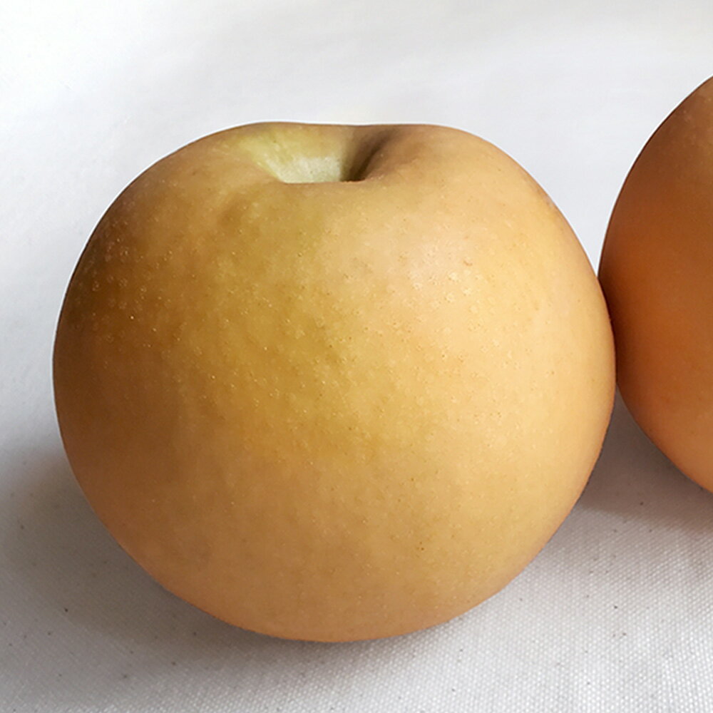 【選べる容量】あたご梨 2玉 約1.8kg または 3～6玉 約4kg 【2025年11月下旬～12月下旬迄発送予定】 フルーツ 果物 くだもの 梨 ナシ なし 国産 お取り寄せ 岡山県 奈義町 送料無料