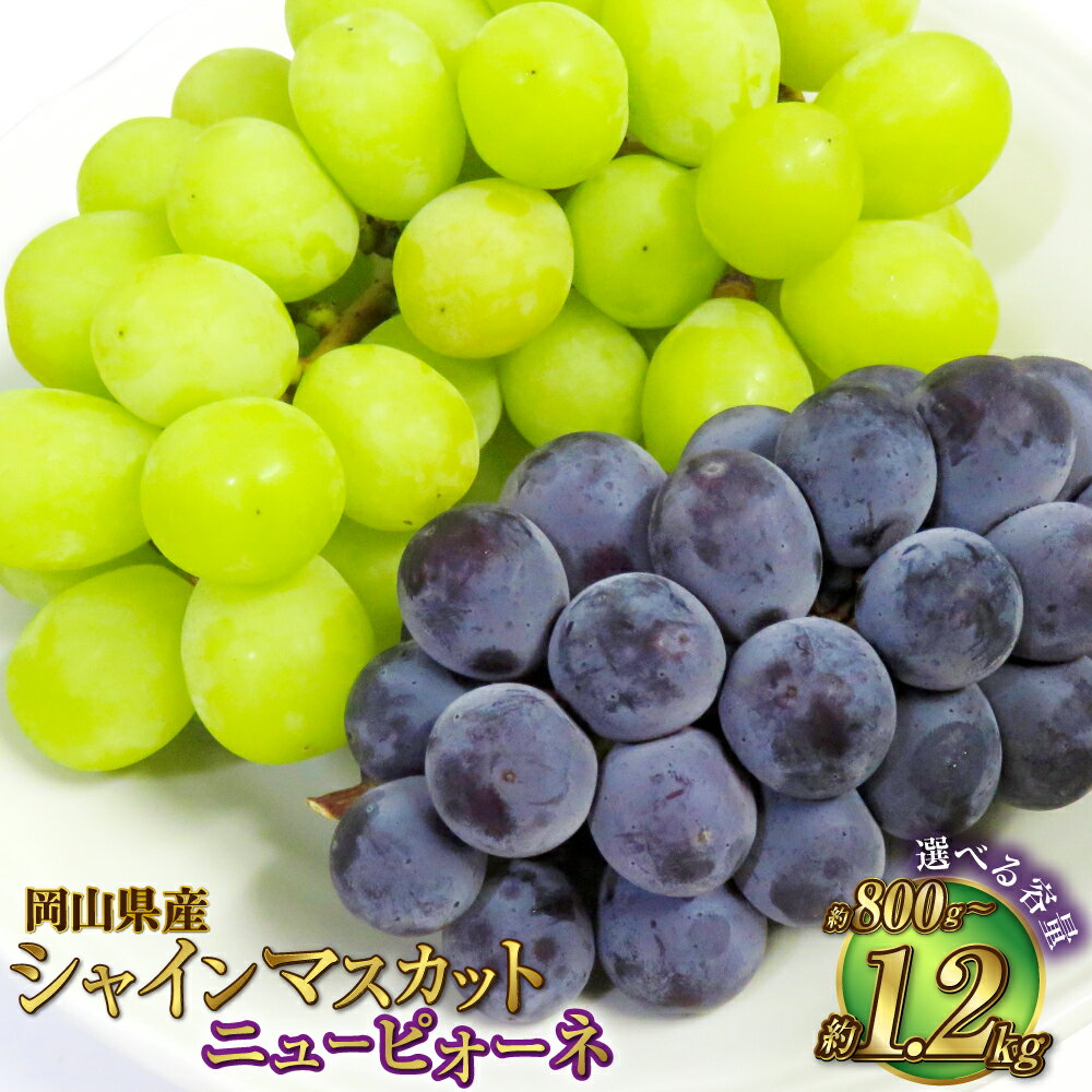 【選べるサイズ】岡山県産 シャインマスカット 晴王 ニューピオーネ Lサイズ～3Lサイズ（計約800g～約1.2kg）マスカット ピオーネ ぶどう 葡萄 種なし 冷蔵 国産 岡山県 奈義町 送料無料 【2026年8月下旬～9月下旬迄発送予定】