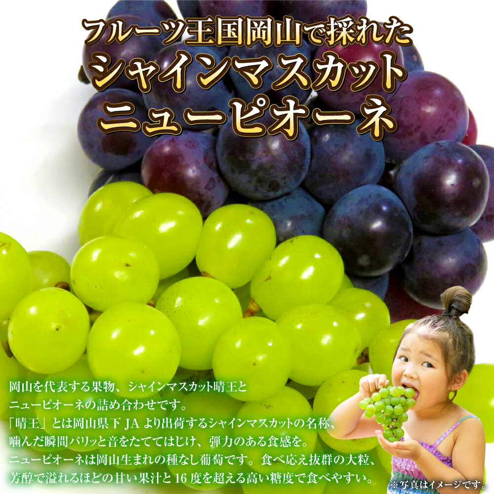 【ふるさと納税】【選べるサイズ】岡山県産 シャインマスカット 晴王 ニューピオーネ Lサイズ～3Lサイズ（計約800g～約1.2kg）マスカット ピオーネ ぶどう 葡萄 種なし 冷蔵 国産 岡山県 奈義町 送料無料 【2026年8月下旬～9月下旬迄発送予定】 サムネイル2