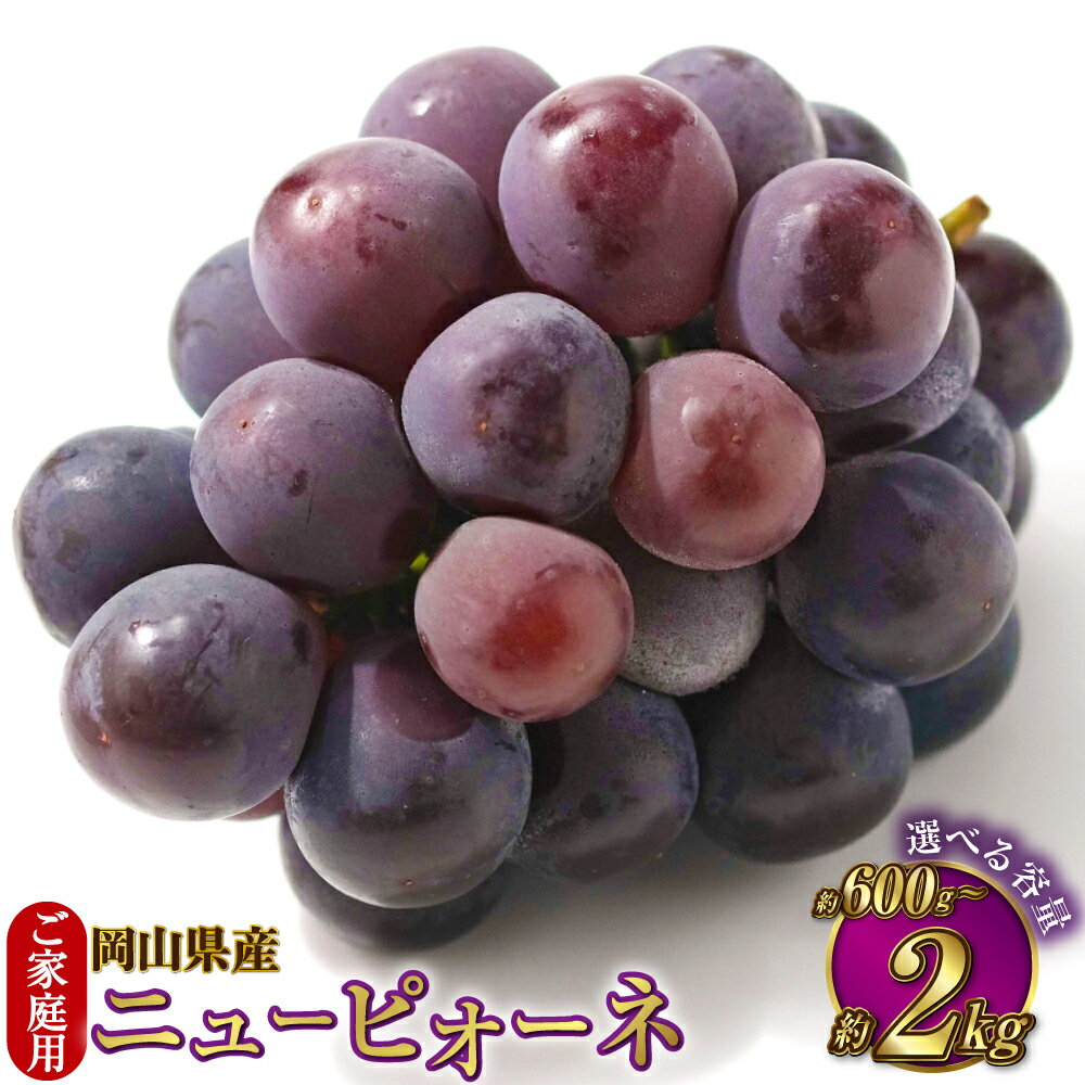 【選べる容量】【ご家庭用】 岡山県産 ニューピオーネ 約600g～約2kg ピオーネ ぶどう ブドウ 葡萄 果物 フルーツ 種なし 大粒 高糖度 冷蔵 お取り寄せ 国産 岡山県 奈義町 送料無料 【2026年8月下旬～9月下旬迄発送予定】