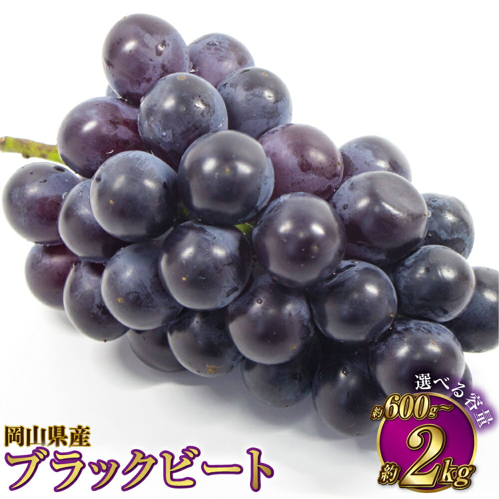 【選べる容量】岡山県産 ブラックビート 約600g～約2kg ぶどう ブドウ 葡萄 果物 くだもの フルーツ 黒ぶどう お取り寄せ 冷蔵 おかやま 岡山県 奈義町 送料無料 【2026年8月上旬～9月上旬発送予定】
