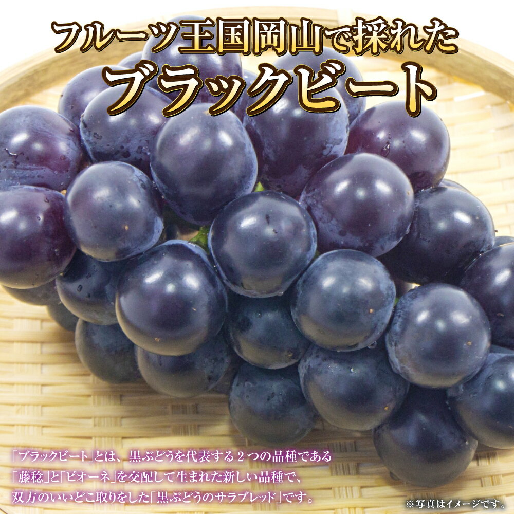 【ふるさと納税】【選べる容量】岡山県産 ブラックビート 約600g～約2kg ぶどう ブドウ 葡萄 果物 くだもの フルーツ 黒ぶどう お取り寄せ 冷蔵 おかやま 岡山県 奈義町 送料無料 【2026年8月上旬～9月上旬発送予定】 サムネイル2