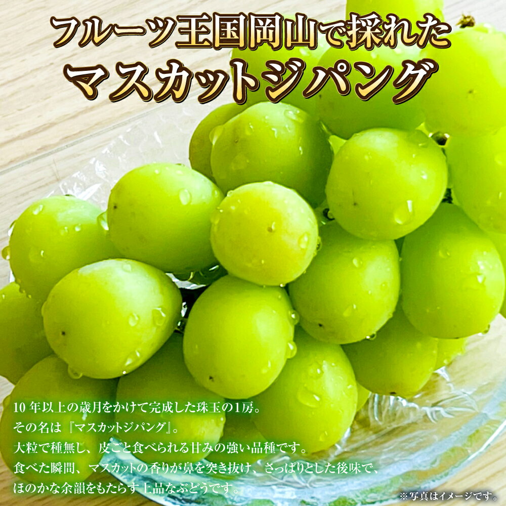 【ふるさと納税】【選べる容量】岡山県産 マスカットジパング 約800g または 約900g マスカット ぶどう ブドウ 葡萄 種無し 種なし 果物 くだもの フルーツ お取り寄せ 冷蔵 おかやま 岡山県 奈義町 送料無料【2026年7月下旬～8月下旬発送予定】 サムネイル2
