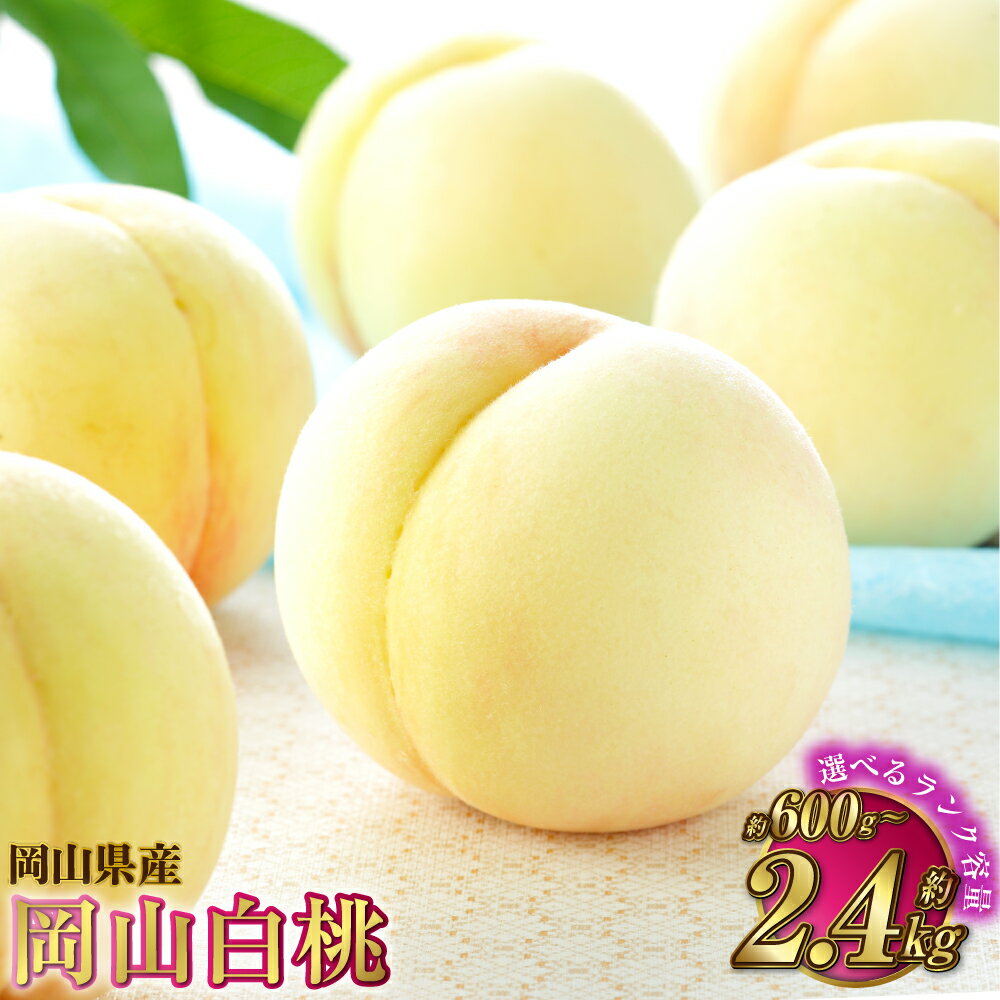 【選べる品種と容量】岡山白桃 ロイヤル または エース 約600g～約2.4kg 桃 もも モモ 白桃 果物 くだもの フルーツ お取り寄せ 贈り物 ギフト 冷蔵 おかやま 岡山県 奈義町 送料無料 【2026年7月上旬～8月下旬発送予定】