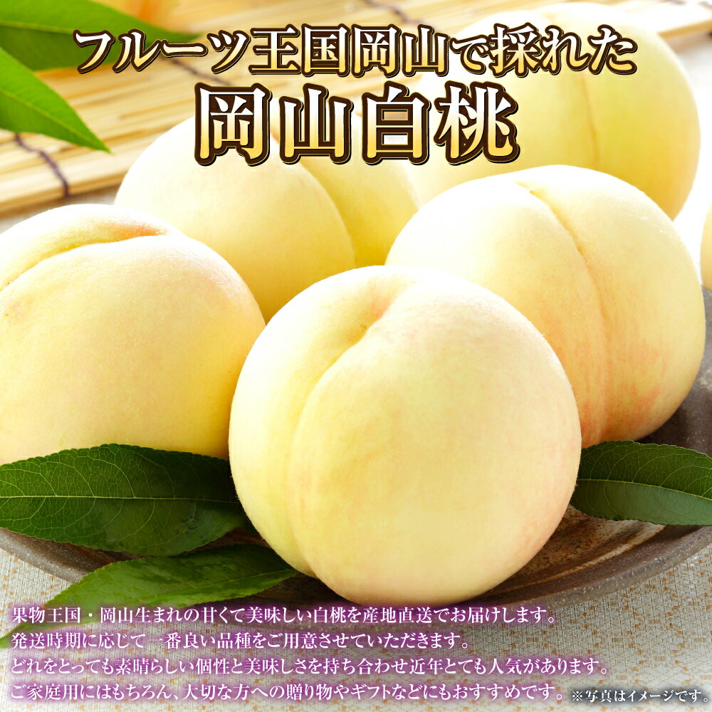 【ふるさと納税】【選べる品種と容量】岡山白桃 ロイヤル または エース 約600g～約2.4kg 桃 もも モモ 白桃 果物 くだもの フルーツ お取り寄せ 贈り物 ギフト 冷蔵 おかやま 岡山県 奈義町 送料無料 【2026年7月上旬～8月下旬発送予定】 サムネイル2