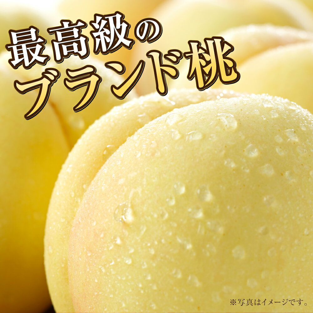 【ふるさと納税】【選べる品種と容量】岡山白桃 ロイヤル または エース 約600g～約2.4kg 桃 もも モモ 白桃 果物 くだもの フルーツ お取り寄せ 贈り物 ギフト 冷蔵 おかやま 岡山県 奈義町 送料無料 【2026年7月上旬～8月下旬発送予定】 サムネイル3