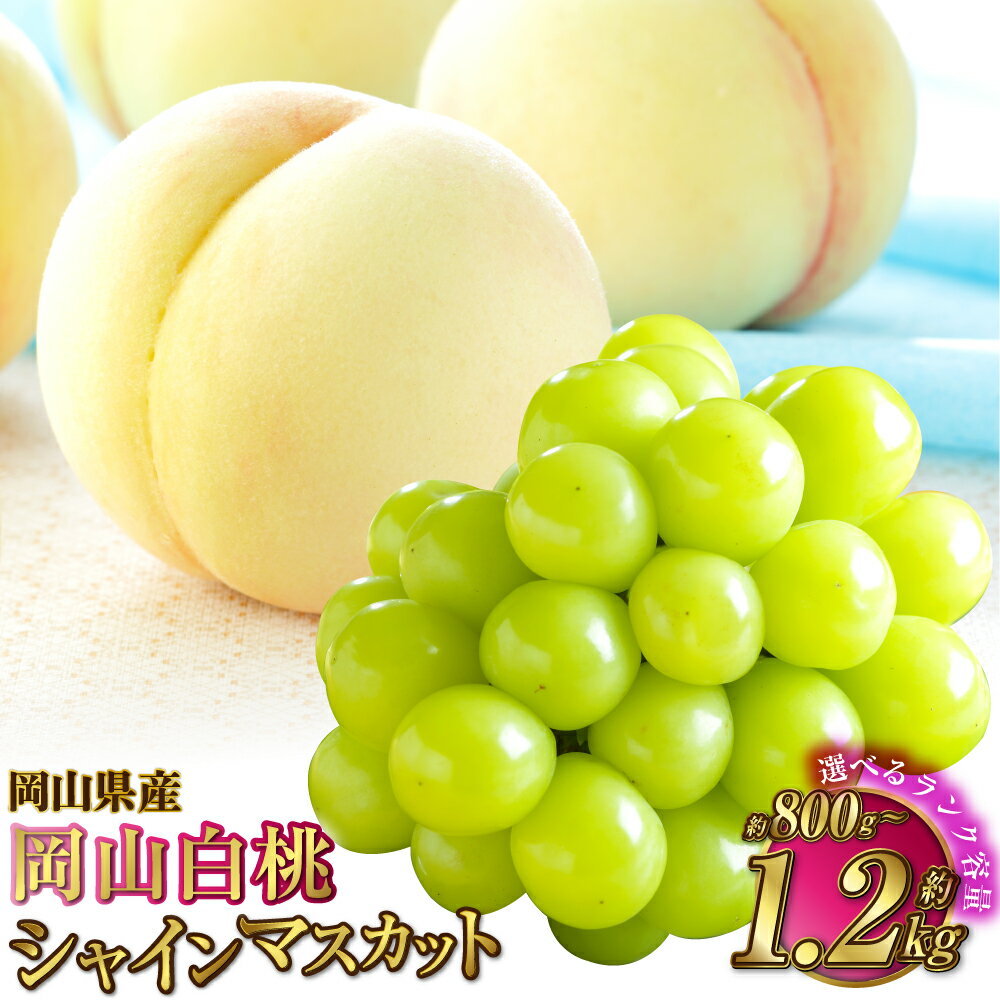 【選べる品種と容量】岡山県産 岡山白桃（ロイヤルまたはエース） ＋シャインマスカット晴王 2種 詰め合わせ 計約800g～約1.2kg 白桃 桃 もも マスカット 果物 くだもの フルーツ ギフト 冷蔵 岡山県 奈義町 送料無料 【2026年7月上旬～8月下旬発送予定】