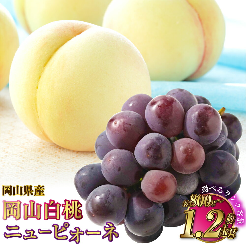【選べる品種と容量】岡山県産 岡山白桃（ロイヤルまたはエース） ＋ニューピオーネ 2種 詰め合わせ 計約800g～約1.2kg 白桃 桃 もも ピオーネ 葡萄 ぶどう 果物 くだもの フルーツ ギフト 冷蔵 岡山県 奈義町 送料無料 【2026年7月上旬～8月下旬発送予定】