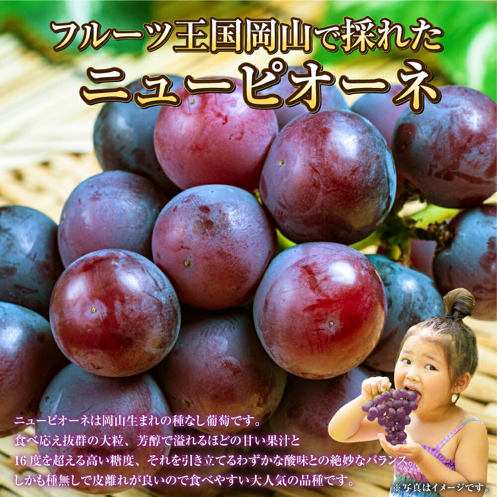 【ふるさと納税】【選べる容量】岡山県産 ニューピオーネ 約600g～約2kg 葡萄 ピオーネ ぶどう ブドウ 果物 くだもの フルーツ お取り寄せ 贈り物 ギフト 冷蔵 おかやま 岡山県 奈義町 送料無料 【2026年6月下旬～7月下旬発送予定】 サムネイル2
