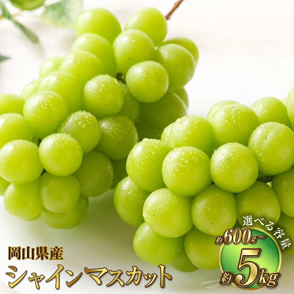 【選べる容量】岡山県産 シャインマスカット 晴王 約600g～約5kg 果物 フルーツ くだもの ブドウ 葡萄 マスカット 種なし 種無し 大粒 高糖度 冷蔵 国産 おかやま 岡山県 奈義町 送料無料 【2026年7月上旬～8月下旬発送予定】