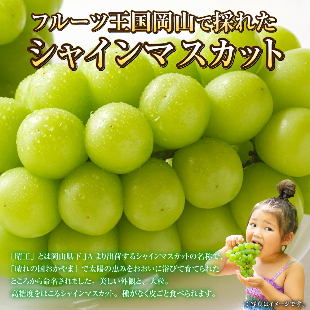 【ふるさと納税】【選べる容量】岡山県産 シャインマスカット 晴王 約600g～約5kg 果物 フルーツ くだもの ブドウ 葡萄 マスカット 種なし 種無し 大粒 高糖度 冷蔵 国産 おかやま 岡山県 奈義町 送料無料 【2026年7月上旬～8月下旬発送予定】 サムネイル2