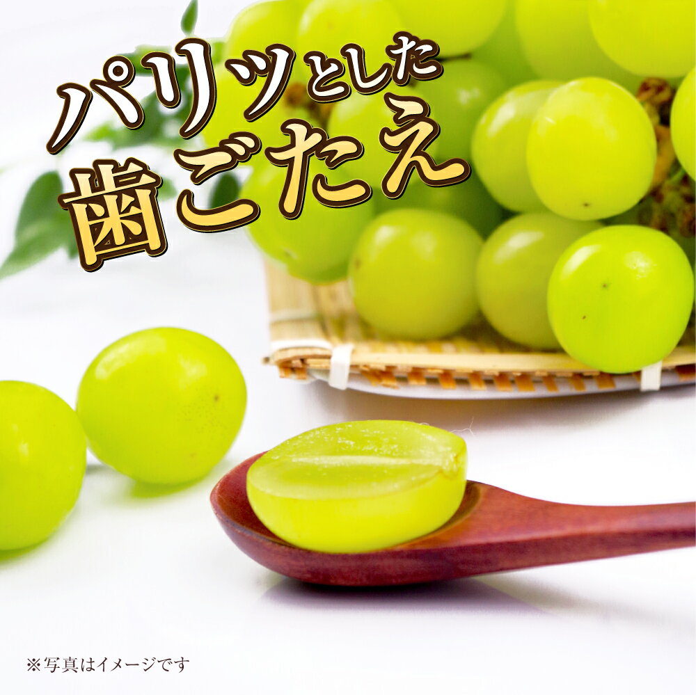 【ふるさと納税】【選べる容量】岡山県産 シャインマスカット 晴王 約600g～約5kg 果物 フルーツ くだもの ブドウ 葡萄 マスカット 種なし 種無し 大粒 高糖度 冷蔵 国産 おかやま 岡山県 奈義町 送料無料 【2026年7月上旬～8月下旬発送予定】 サムネイル3