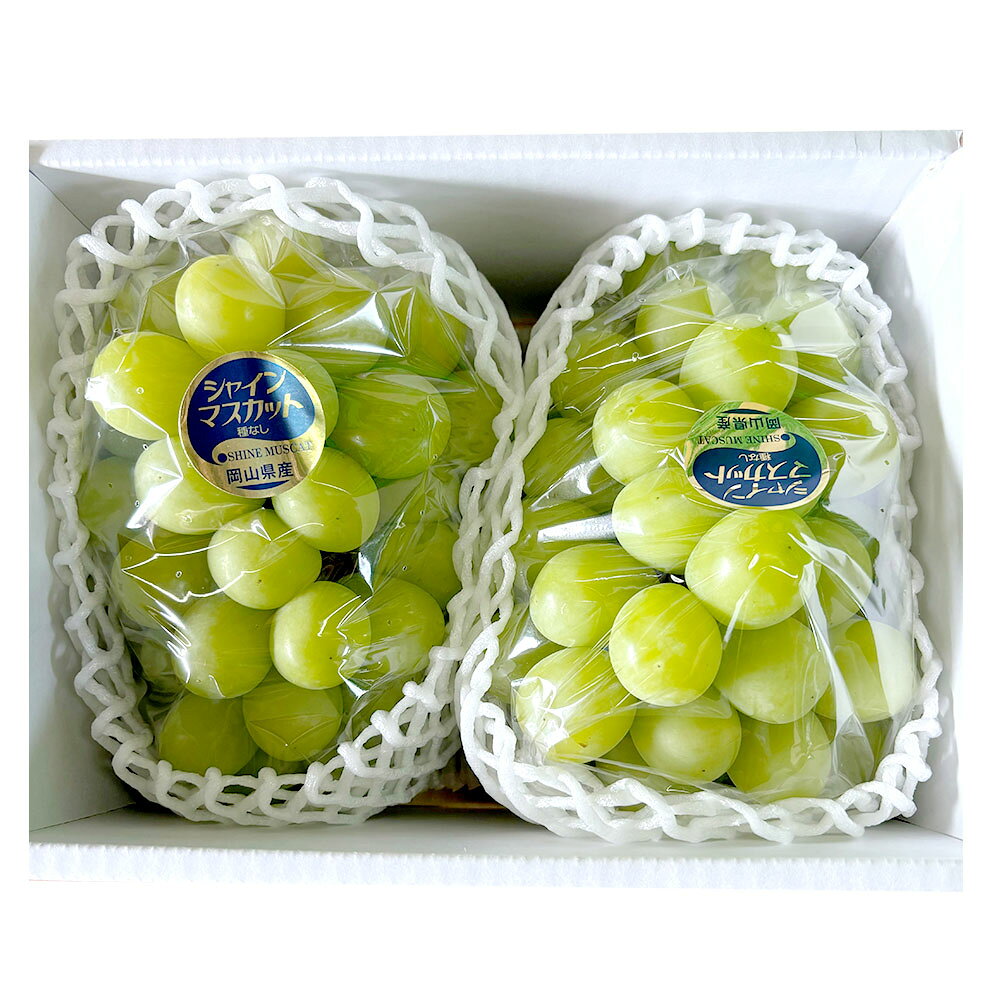 ＜選べる内容量＞2026年 先行予約 シャインマスカット 1房／2房／3～4房 1房700g以上 16000円 ～ 36000円 1万6000円 ～ 3万6000円 ぶどう 葡萄 果物 マスカット ギフト 河本農園 冷蔵 岡山県産 岡山県 奈義町 送料無料 【2026年9月上旬～9月下旬発送予定】