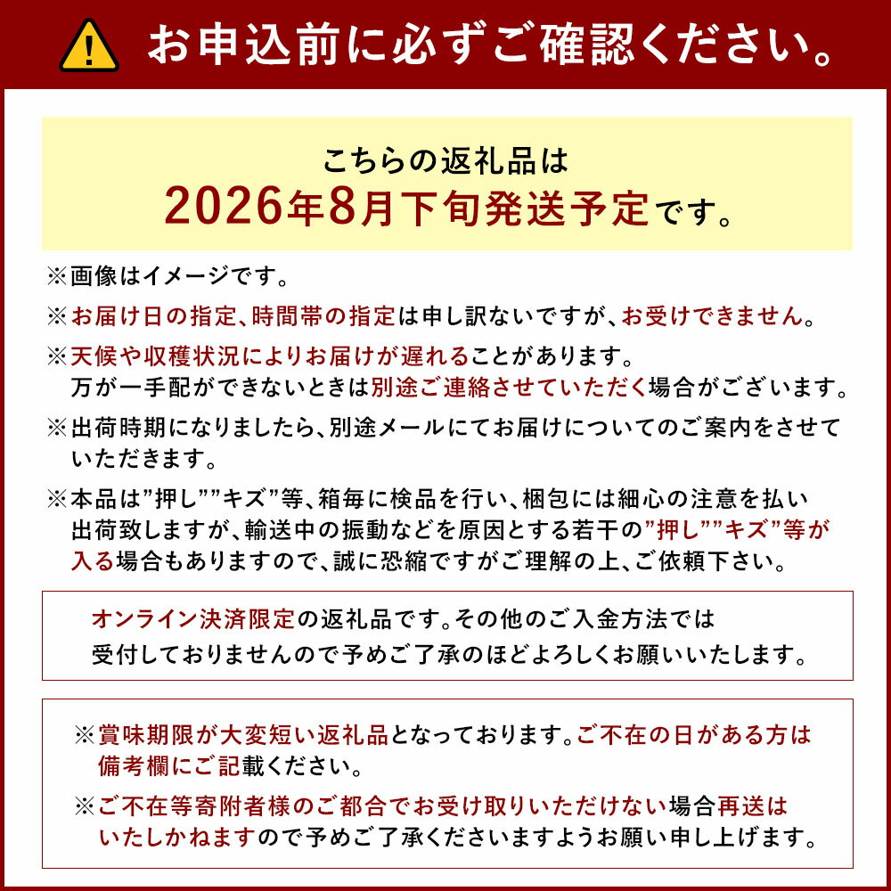 【ふるさと納税】＜選べる内容量＞2026年 先行予約 ニューピオーネ 2房：合計1.2kg以上・3～4房：合計2kg以上 ぶどう ブドウ 葡萄 フルーツ 果物 果実 ギフト 河本農園 冷蔵 岡山県産 国産 岡山県 奈義町 送料無料 【2026年8月下旬発送予定】 サムネイル2