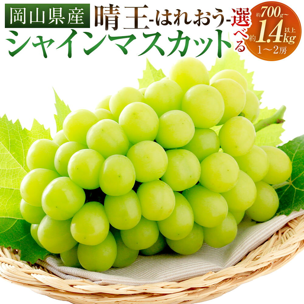 シャインマスカット 晴王 1房（700g以上） ぶどう ブドウ 葡萄 くだもの 果物 果実 フルーツ 高糖度 大粒 種なし 皮ごと お子様 ご年配 冷蔵 岡山県産 国産 岡山県 奈義町 送料無料 【2026年9月上旬～10月上旬 発送予定】