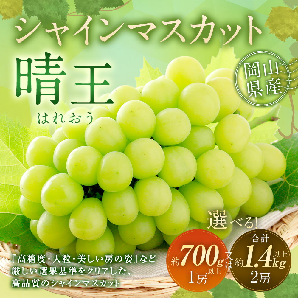 【ふるさと納税】シャインマスカット 晴王 1房（700g以上） ぶどう ブドウ 葡萄 くだもの 果物 果実 フルーツ 高糖度 大粒 種なし 皮ごと お子様 ご年配 冷蔵 岡山県産 国産 岡山県 奈義町 送料無料 【2026年9月上旬～10月上旬 発送予定】 サムネイル2