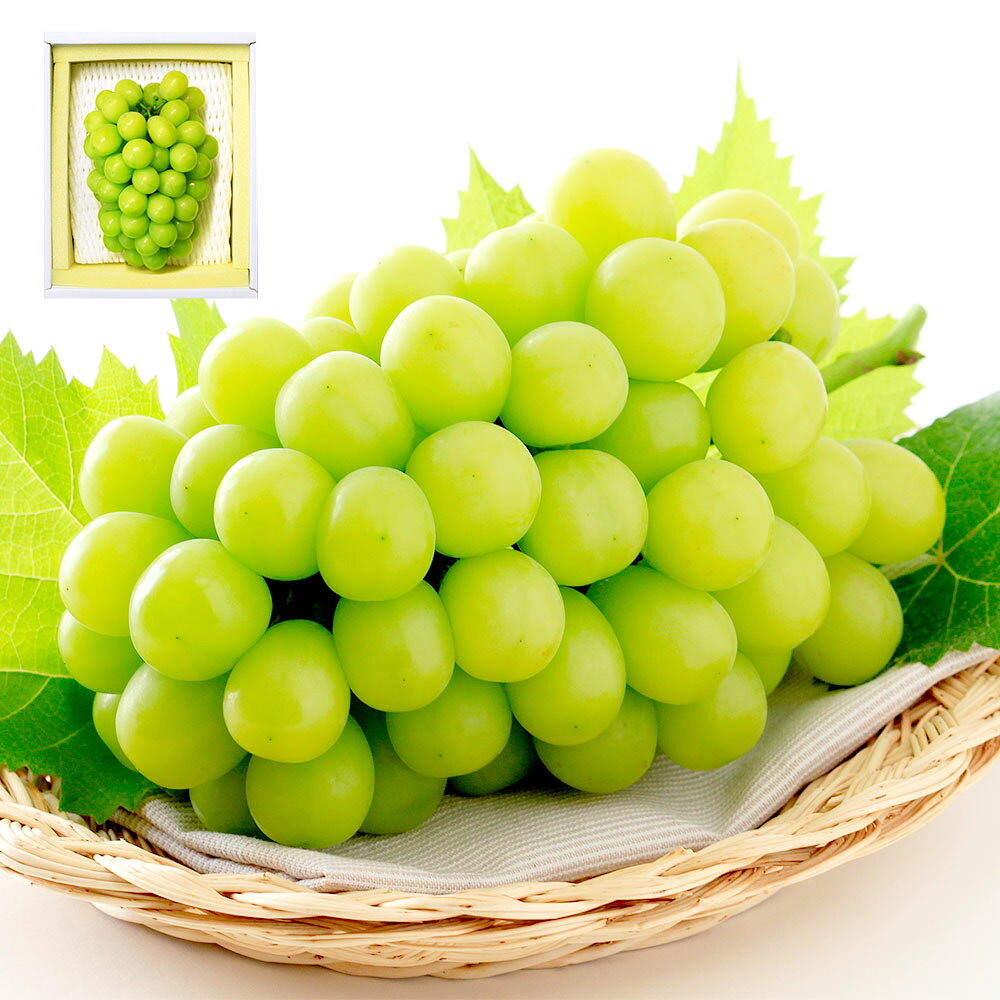 【ふるさと納税】シャインマスカット 晴王 1房（700g以上） ぶどう ブドウ 葡萄 くだもの 果物 果実 フルーツ 高糖度 大粒 種なし 皮ごと お子様 ご年配 冷蔵 岡山県産 国産 岡山県 奈義町 送料無料 【2026年9月上旬～10月上旬 発送予定】 サムネイル3