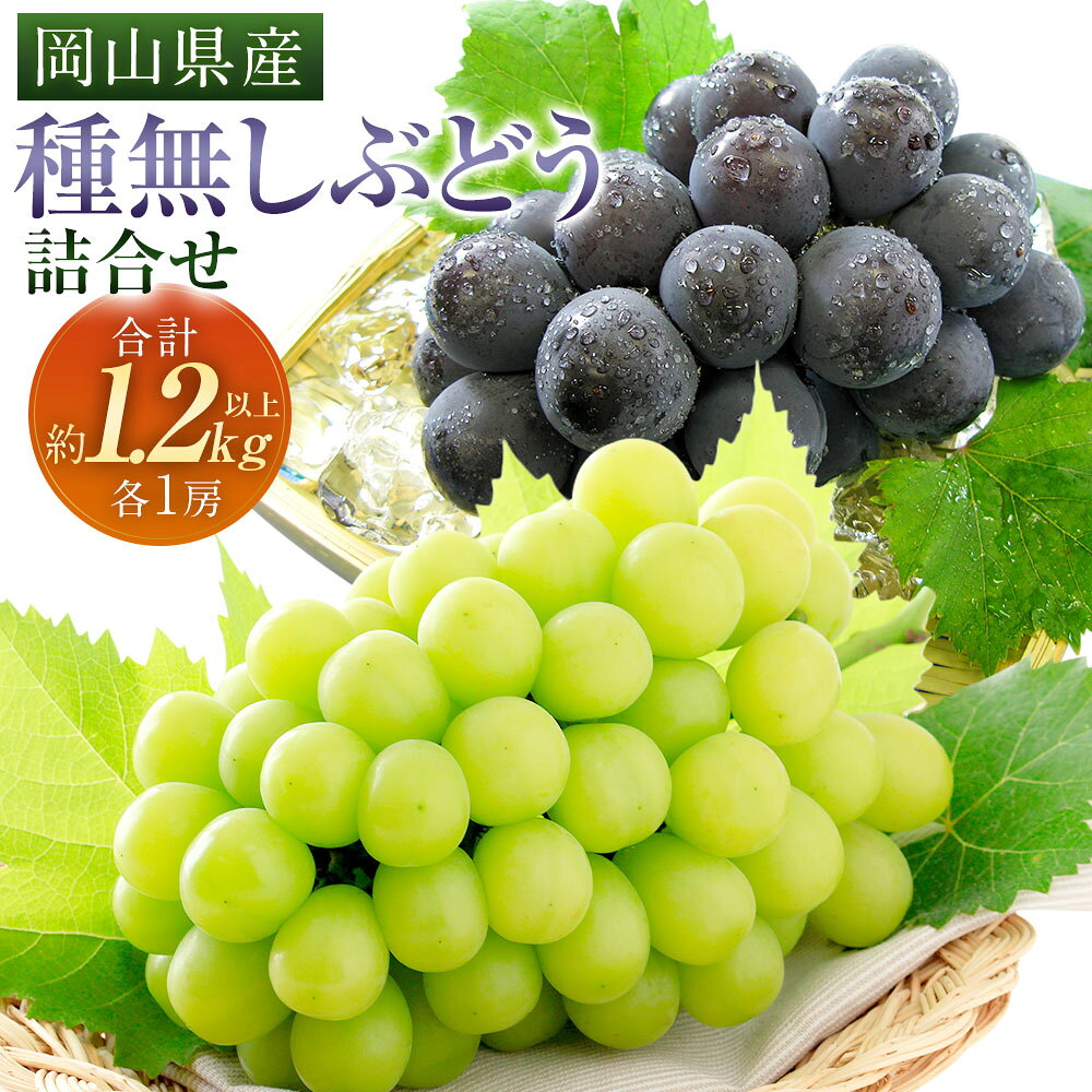 種無し ぶどう 詰め合わせ 2房（合計1.2kg以上） 各1房 シャインマスカット・ニューピオーネ セット ブドウ 葡萄 くだもの 果物 果実 フルーツ 大粒 種なし 冷蔵 岡山県産 国産 岡山県 奈義町 送料無料 【2026年9月上旬～10月上旬 発送予定】