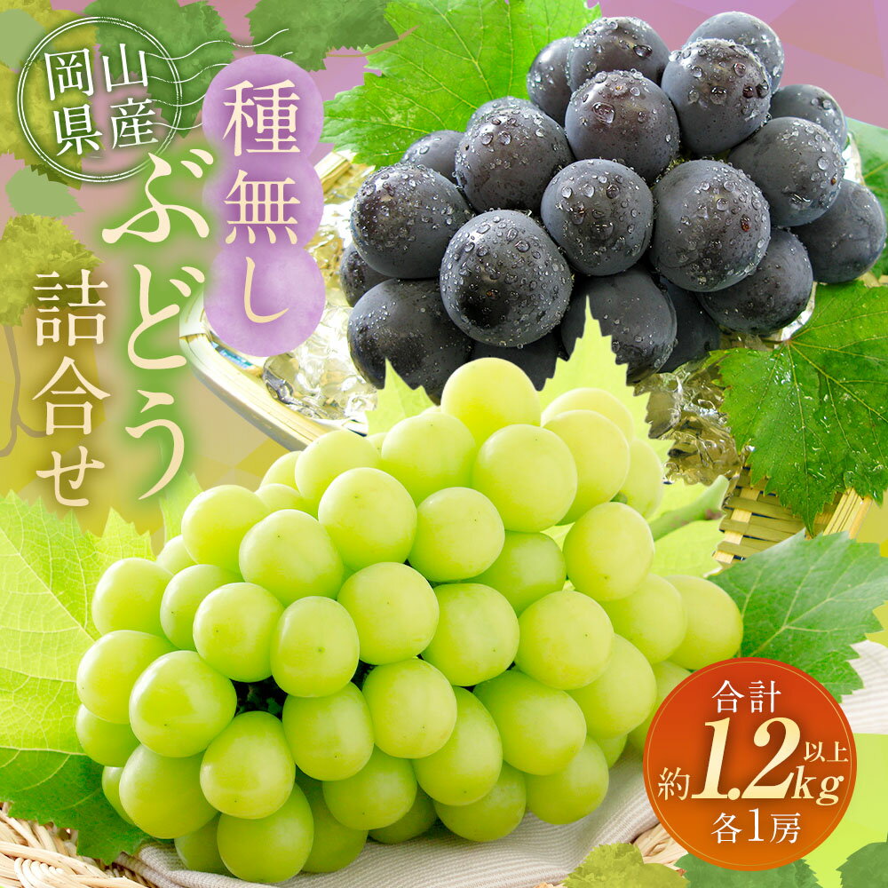【ふるさと納税】種無し ぶどう 詰め合わせ 2房（合計1.2kg以上） 各1房 シャインマスカット・ニューピオーネ セット ブドウ 葡萄 くだもの 果物 果実 フルーツ 大粒 種なし 冷蔵 岡山県産 国産 岡山県 奈義町 送料無料 【2026年9月上旬～10月上旬 発送予定】 サムネイル2