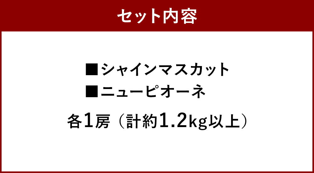 【ふるさと納税】種無し ぶどう 詰め合わせ 2房（合計1.2kg以上） 各1房 シャインマスカット・ニューピオーネ セット ブドウ 葡萄 くだもの 果物 果実 フルーツ 大粒 種なし 冷蔵 岡山県産 国産 岡山県 奈義町 送料無料 【2026年9月上旬～10月上旬 発送予定】 サムネイル3