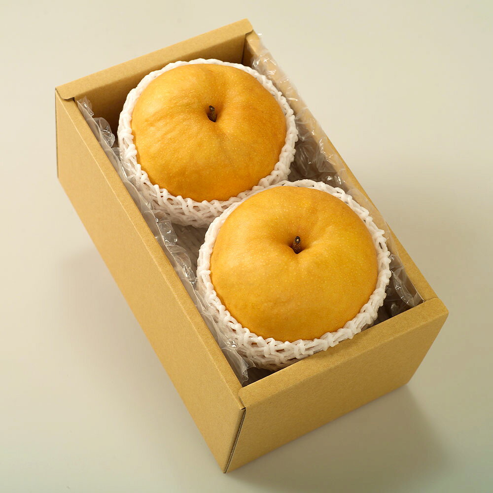 【ふるさと納税】梨 2026年 先行予約 あたご梨 2玉 合計1.8kg以上 赤梨 なし ナシ くだもの 果物 果実 フルーツ 環山堂 冷蔵 岡山県産 国産 岡山県 奈義町 送料無料 【2026年11月下旬～12月下旬 発送予定】 サムネイル3