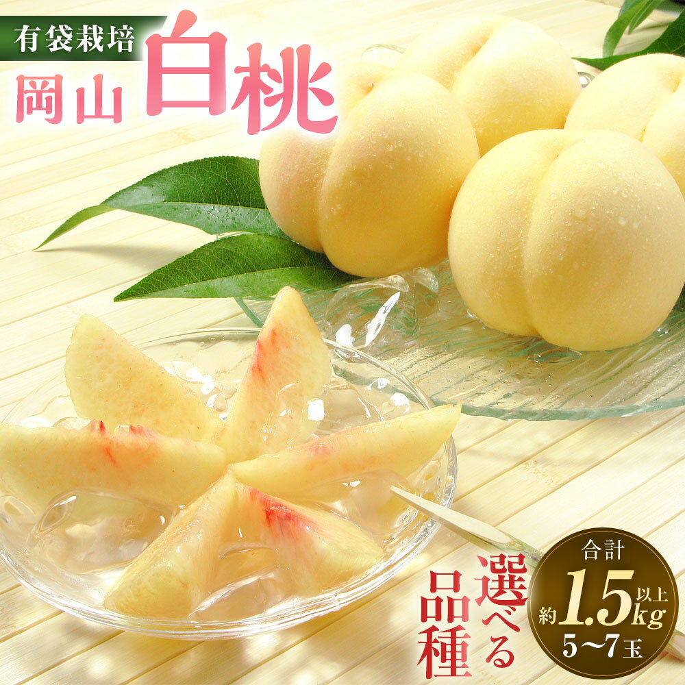 ＜選べる品種＞桃 2026年 先行予約 岡山白桃 白鳳／加納岩白桃・おかやま夢白桃／白麗 5～7玉（合計1.5kg以上） もも モモ くだもの 果物 果実 フルーツ 環山堂 ギフト 贈答 冷蔵 岡山県産 国産 岡山県 奈義町 送料無料 【2026年7月上旬～8月上旬 発送予定】