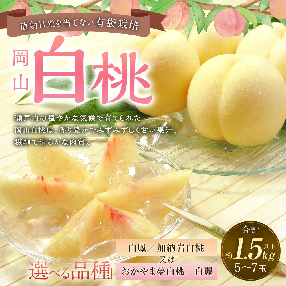 【ふるさと納税】＜選べる品種＞桃 2026年 先行予約 岡山白桃 白鳳／加納岩白桃・おかやま夢白桃／白麗 5～7玉（合計1.5kg以上） もも モモ くだもの 果物 果実 フルーツ 環山堂 ギフト 贈答 冷蔵 岡山県産 国産 岡山県 奈義町 送料無料 【2026年7月上旬～8月上旬 発送予定】 サムネイル2