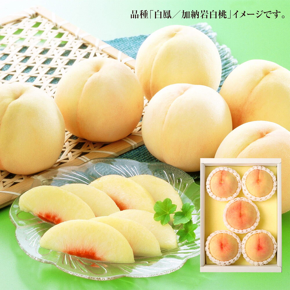 【ふるさと納税】＜選べる品種＞桃 2026年 先行予約 岡山白桃 白鳳／加納岩白桃・おかやま夢白桃／白麗 5～7玉（合計1.5kg以上） もも モモ くだもの 果物 果実 フルーツ 環山堂 ギフト 贈答 冷蔵 岡山県産 国産 岡山県 奈義町 送料無料 【2026年7月上旬～8月上旬 発送予定】 サムネイル3