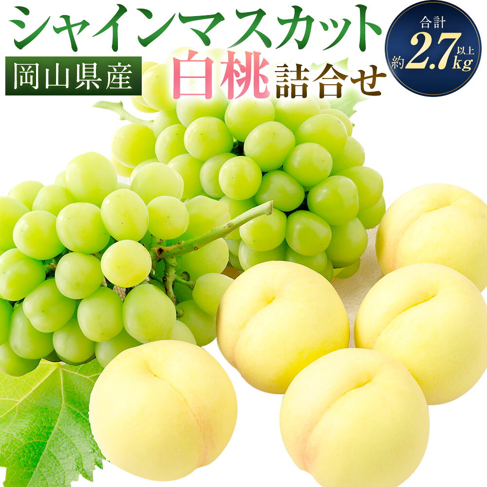 桃 ぶどう 2026年 先行予約 岡山白桃（5玉）・シャインマスカット（2房） 詰め合わせ セット 合計2.7kg以上 もも 葡萄 くだもの 果物 果実 フルーツ 環山堂 ギフト 贈答 冷蔵 岡山県産 国産 岡山県 奈義町 送料無料 【2026年7月上旬～8月上旬 発送予定】