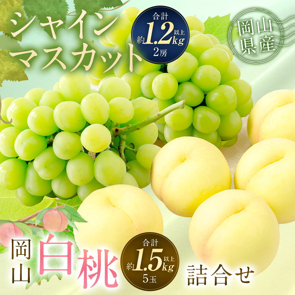 【ふるさと納税】桃 ぶどう 2026年 先行予約 岡山白桃（5玉）・シャインマスカット（2房） 詰め合わせ セット 合計2.7kg以上 もも 葡萄 くだもの 果物 果実 フルーツ 環山堂 ギフト 贈答 冷蔵 岡山県産 国産 岡山県 奈義町 送料無料 【2026年7月上旬～8月上旬 発送予定】 サムネイル2