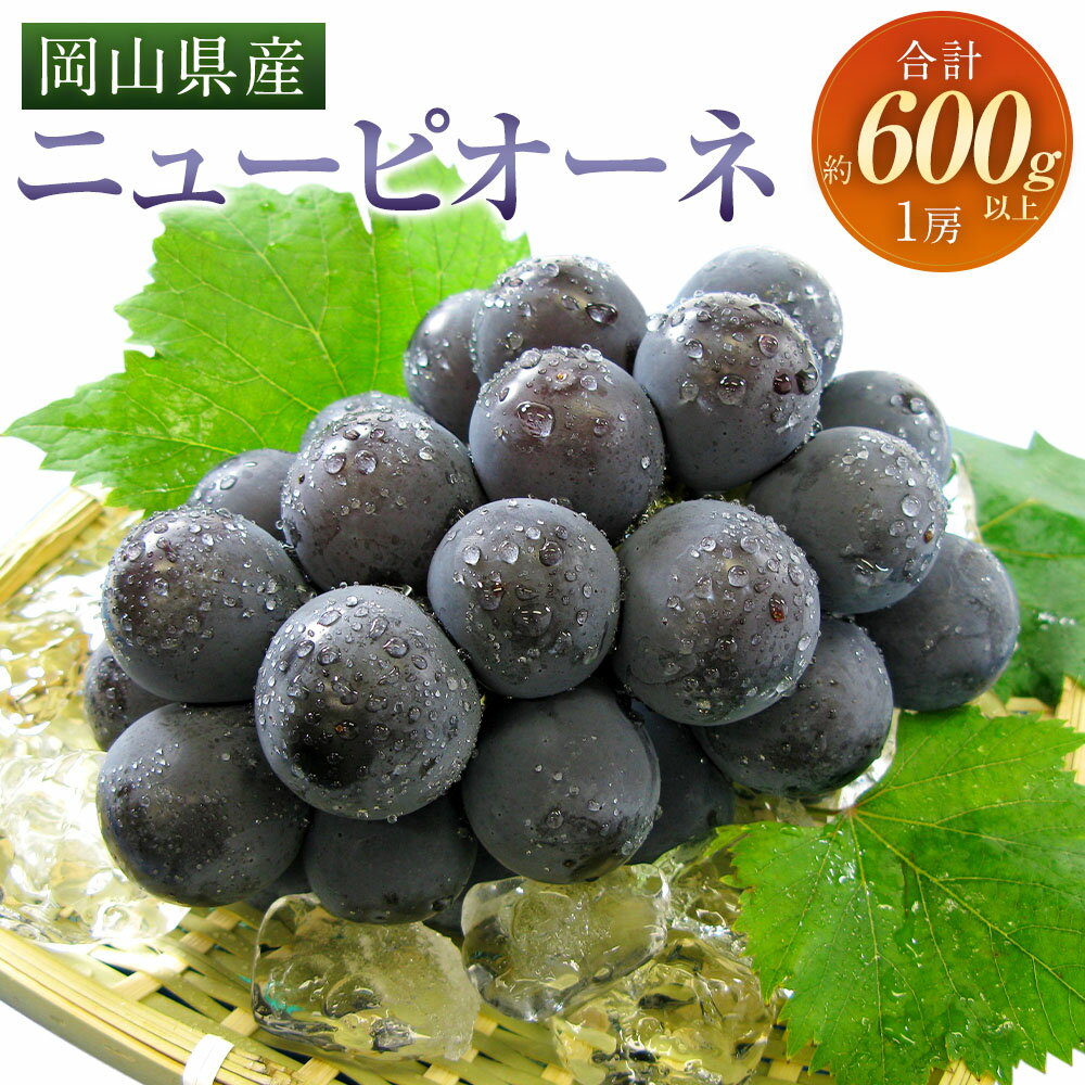 ぶどう 2026年 先行予約 ニューピオーネ 1房 600g以上 ブドウ 葡萄 くだもの 果物 果実 フルーツ 環山堂 ギフト 贈答 冷蔵 岡山県産 国産 岡山県 奈義町 送料無料 【2026年8月下旬～9月下旬 発送予定】