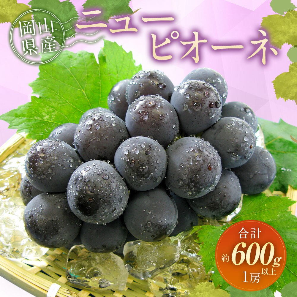【ふるさと納税】ぶどう 2026年 先行予約 ニューピオーネ 1房 600g以上 ブドウ 葡萄 くだもの 果物 果実 フルーツ 環山堂 ギフト 贈答 冷蔵 岡山県産 国産 岡山県 奈義町 送料無料 【2026年8月下旬～9月下旬 発送予定】 サムネイル2