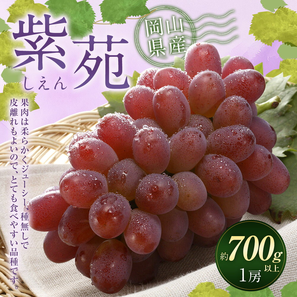 【ふるさと納税】冬 ぶどう 2026年 先行予約 紫苑 1房 700g以上 環山堂 岡山県 ブドウ 葡萄 種なし くだもの 果物 果実 フルーツ 環山堂 冷蔵 岡山県産 国産 岡山県 奈義町 送料無料 【2026年10月下旬～11月下旬 発送予定】 サムネイル2