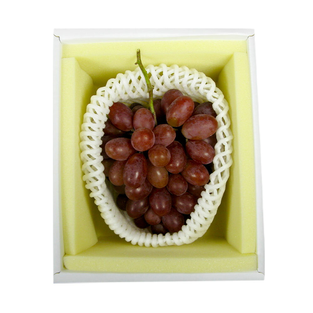 【ふるさと納税】冬 ぶどう 2026年 先行予約 紫苑 1房 700g以上 環山堂 岡山県 ブドウ 葡萄 種なし くだもの 果物 果実 フルーツ 環山堂 冷蔵 岡山県産 国産 岡山県 奈義町 送料無料 【2026年10月下旬～11月下旬 発送予定】 サムネイル3