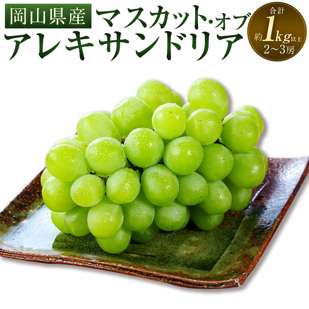 マスカット・オブ・アレキサンドリア 2～3房（合計1.0kg以上） ぶどう ブドウ 葡萄 くだもの 果物 果実 フルーツ ギフト 贈答 冷蔵 岡山県産 国産 岡山県 奈義町 送料無料 【2026年8月下旬～9月下旬 発送予定】