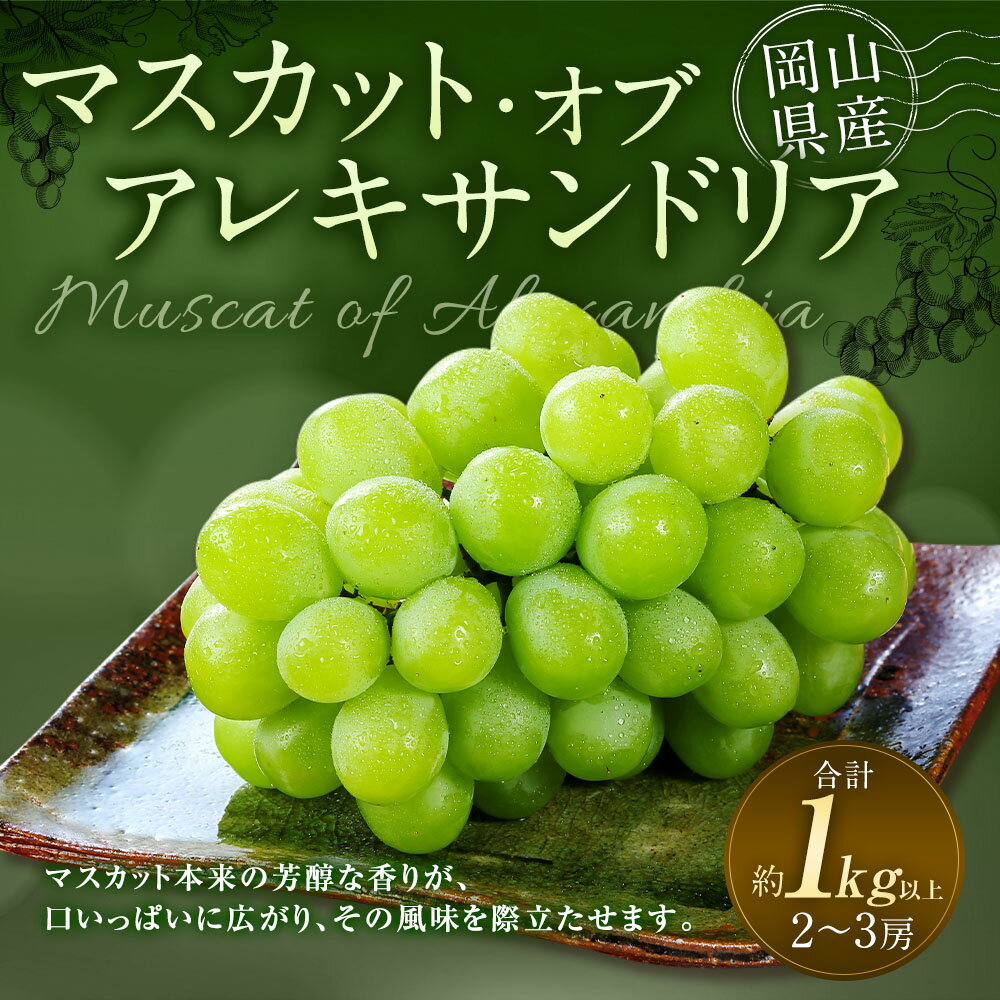【ふるさと納税】マスカット・オブ・アレキサンドリア 2～3房（合計1.0kg以上） ぶどう ブドウ 葡萄 くだもの 果物 果実 フルーツ ギフト 贈答 冷蔵 岡山県産 国産 岡山県 奈義町 送料無料 【2026年8月下旬～9月下旬 発送予定】 サムネイル2