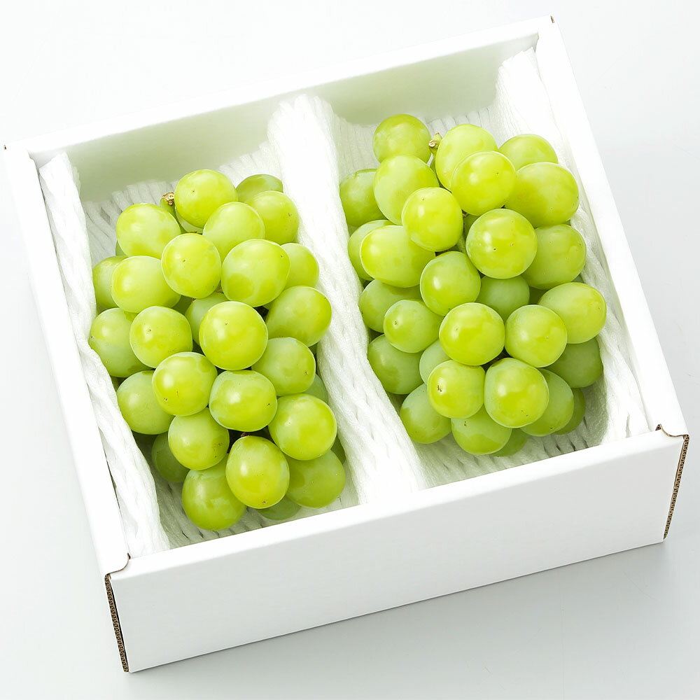 【ふるさと納税】マスカット・オブ・アレキサンドリア 2～3房（合計1.0kg以上） ぶどう ブドウ 葡萄 くだもの 果物 果実 フルーツ ギフト 贈答 冷蔵 岡山県産 国産 岡山県 奈義町 送料無料 【2026年8月下旬～9月下旬 発送予定】 サムネイル3