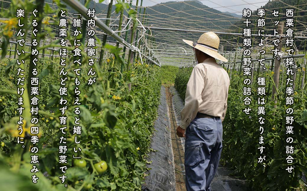 【ふるさと納税】【選べる！お届け回数＆お届けペース】西粟倉産 「旬の野菜 おまかせセット」 F-FF-F00A サムネイル3