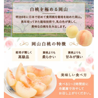 【ふるさと納税】【2026年発送】岡山県産　白桃 6玉 (1.5kg以上) 等級:ロイヤル 化粧箱入り【配送不可地域：離島・北海道・沖縄県】【1501092】 サムネイル2