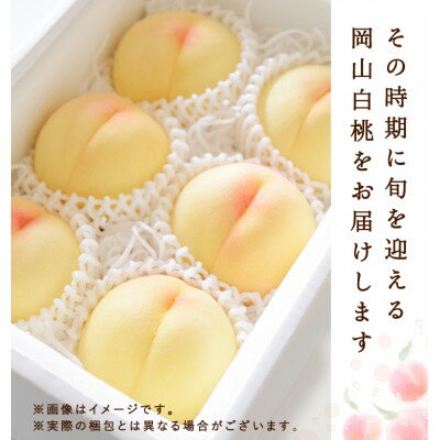 【ふるさと納税】【2026年発送】岡山県産　白桃 6玉 (1.5kg以上) 等級:ロイヤル 化粧箱入り【配送不可地域：離島・北海道・沖縄県】【1501092】 サムネイル3