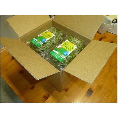 【ふるさと納税】ブロッコリースプラウト　40g×10パック【配送不可地域：離島】【1701975】 - 画像3