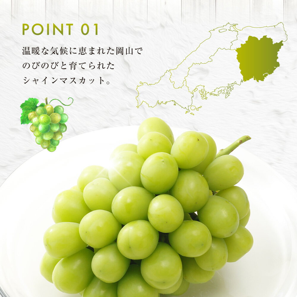 【ふるさと納税】シャインマスカット 晴王 約2kg 23000円 2万3000円 マスカット ぶどう ブドウ 葡萄 グレープ フルーツ 果物 デザート おやつ 種なし 皮ごと 高級 旬 先行予約 季節限定 岡山県 美咲町 冷蔵 【2026年9月下旬-10月下旬発送予定】 送料無料 サムネイル3