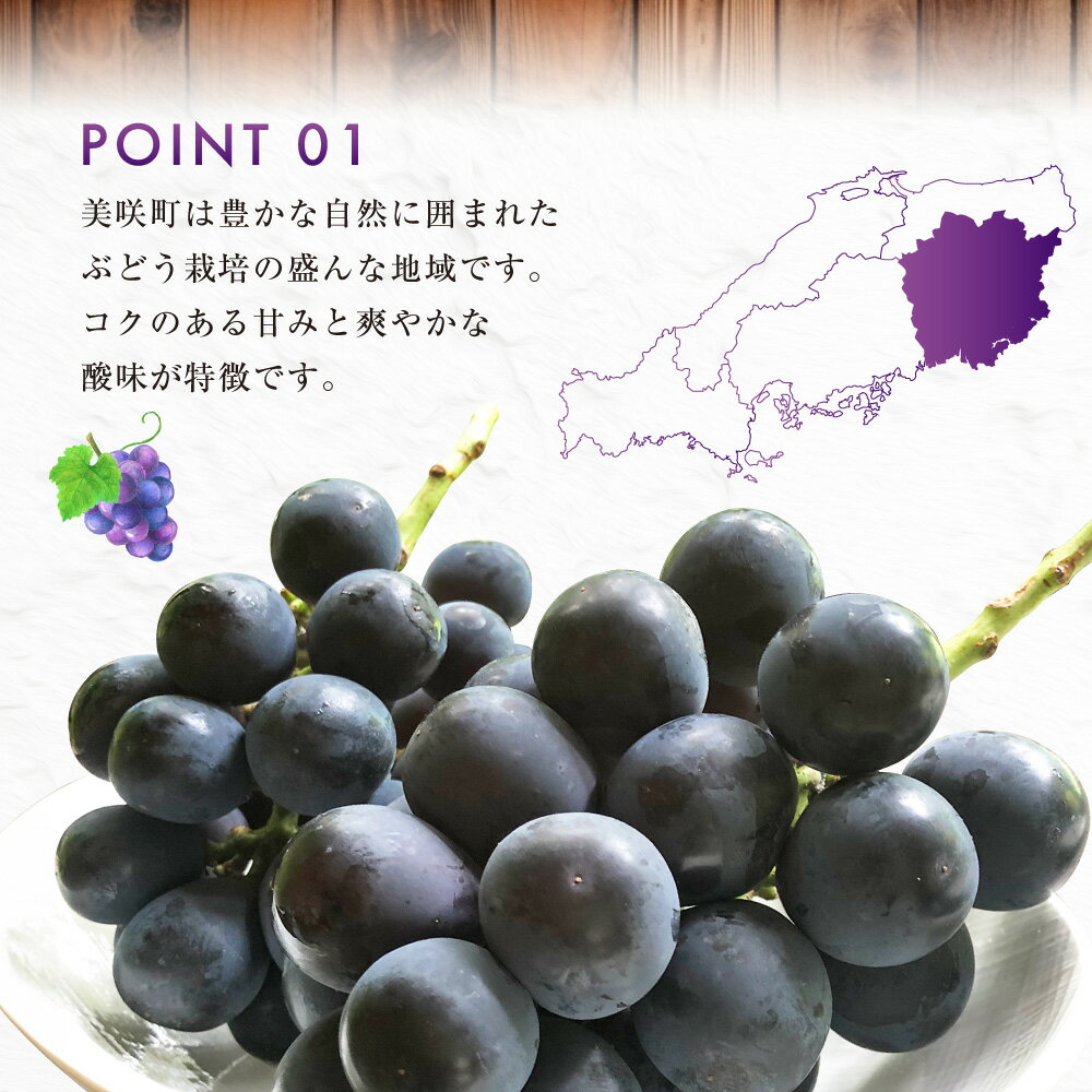【ふるさと納税】ニューピオーネ 早採れ ハウス栽培 約2kg 種無し ぶどう ブドウ 葡萄 グレープ 大粒 フルーツ 果実 果物 くだもの デザート 高級 旬 先行予約 季節限定 岡山県産 国産 岡山県 美咲町 送料無料【2026年7月上旬-7月下旬発送予定】 サムネイル3