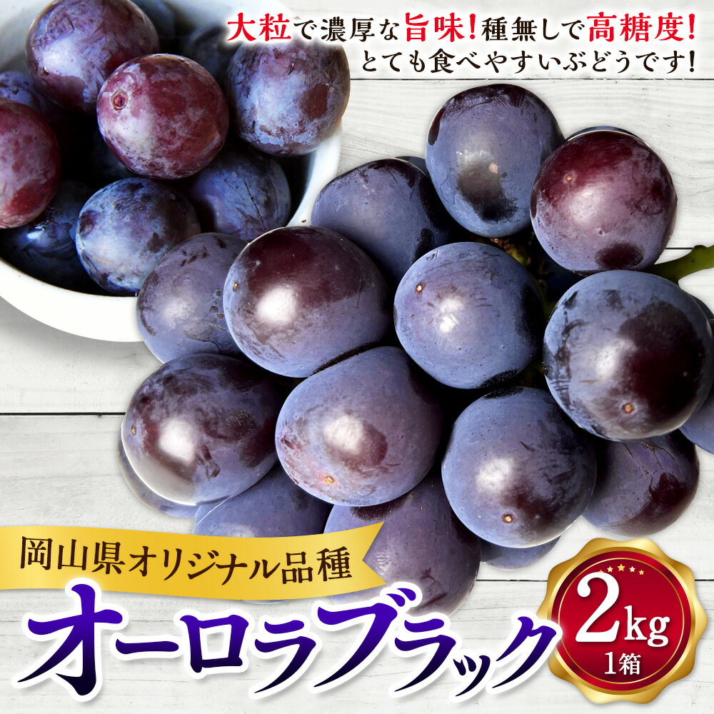 【ふるさと納税】オーロラブラック 約2kg 1箱 19000円 1万9000円 ぶどう ブドウ 葡萄 果物 フルーツ 旬 先行予約 季節限定 お取り寄せ 岡山県産 国産 岡山県 美咲町 冷蔵 送料無料 【2026年8月上旬-9月下旬発送予定】 サムネイル3