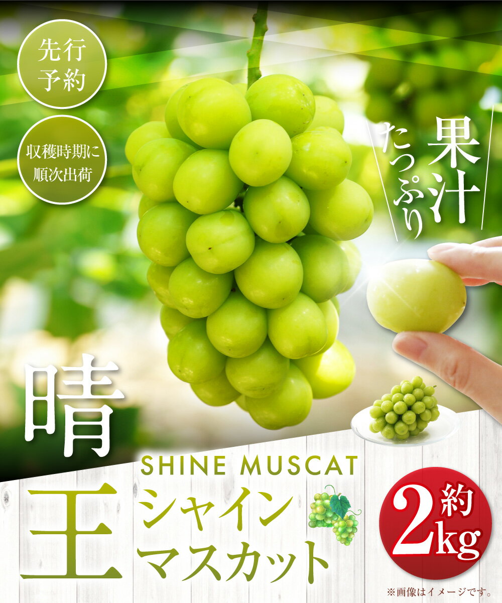 【ふるさと納税】シャインマスカット 晴王 約2kg 23000円 2万3000円 マスカット ぶどう ブドウ 葡萄 グレープ フルーツ 果物 デザート おやつ 種なし 皮ごと 高級 旬 先行予約 季節限定 岡山県 美咲町 冷蔵 【2026年9月下旬-10月下旬発送予定】 送料無料 サムネイル2