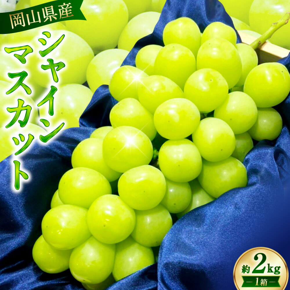 【先行予約】岡山県産 シャインマスカット 約2kg 1箱 マスカット ぶどう ブドウ フルーツ 果実 くだもの 果物 お取り寄せ 常温 岡山県 美咲町 送料無料 【2026年9月下旬-10月下旬発送予定】