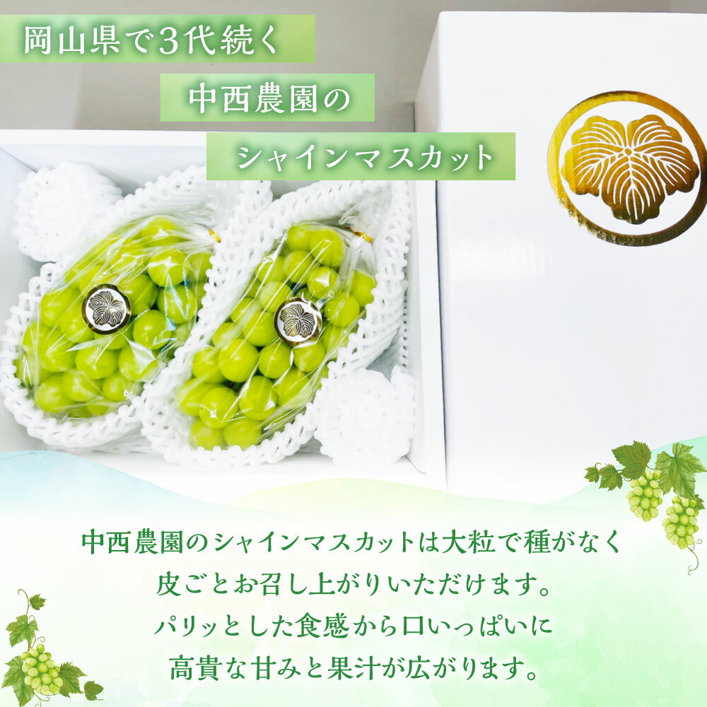 【ふるさと納税】【先行予約】岡山県産 シャインマスカット 約2kg 1箱 マスカット ぶどう ブドウ フルーツ 果実 くだもの 果物 お取り寄せ 常温 岡山県 美咲町 送料無料 【2026年9月下旬-10月下旬発送予定】 サムネイル3