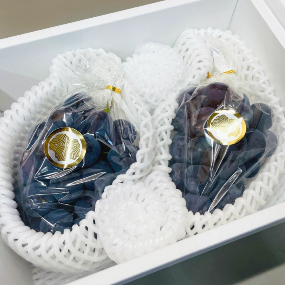 【ふるさと納税】【先行予約】岡山県産 ニューピオーネ 約2kg 1箱 ぶどう ブドウ フルーツ 果実 くだもの 果物 お取り寄せ 常温 岡山県 美咲町 送料無料【2026年8月下旬-9月下旬発送予定】 サムネイル3