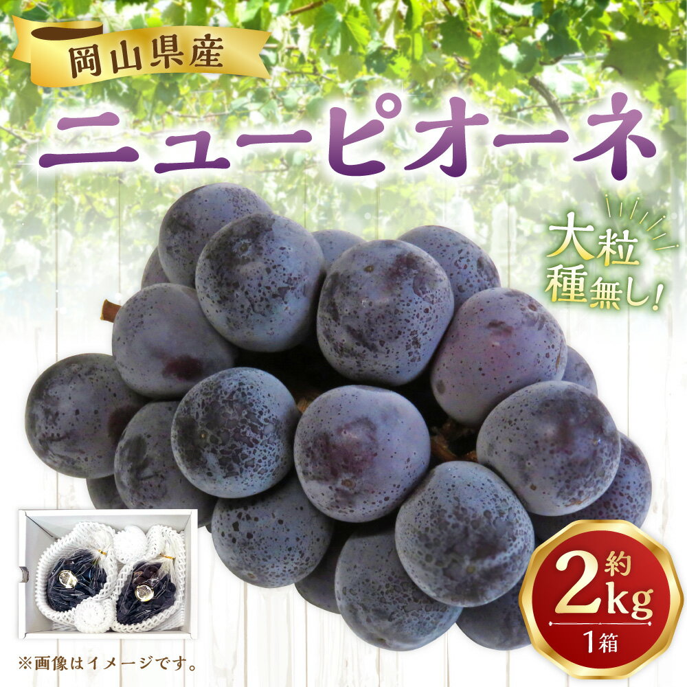 【ふるさと納税】【先行予約】岡山県産 ニューピオーネ 約2kg 1箱 ぶどう ブドウ フルーツ 果実 くだもの 果物 お取り寄せ 常温 岡山県 美咲町 送料無料【2026年8月下旬-9月下旬発送予定】 サムネイル2