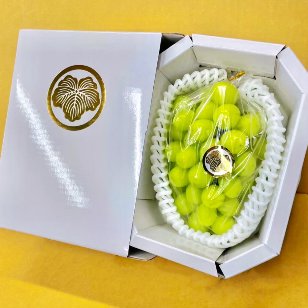 【ふるさと納税】【先行予約】厳選 シャインマスカット 約800g 1房入り マスカット ぶどう ブドウ フルーツ 果実 くだもの 果物 お取り寄せ 常温 岡山県 美咲町 送料無料【2026年9月下旬-10月下旬発送予定】 サムネイル3